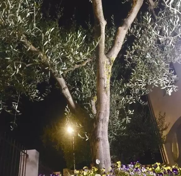 B&b S’ Orgiola