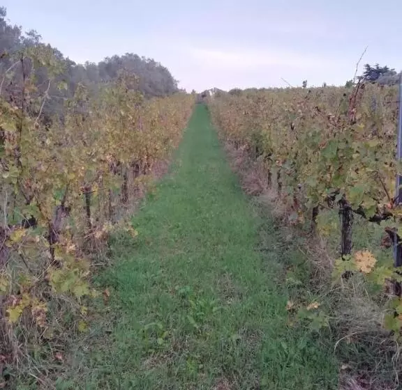 La Campagna Di Rosy