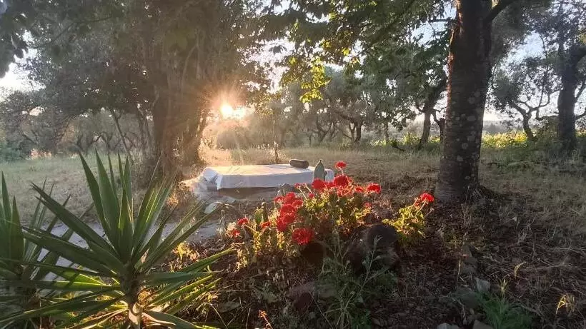 La Campagna Di Rosy