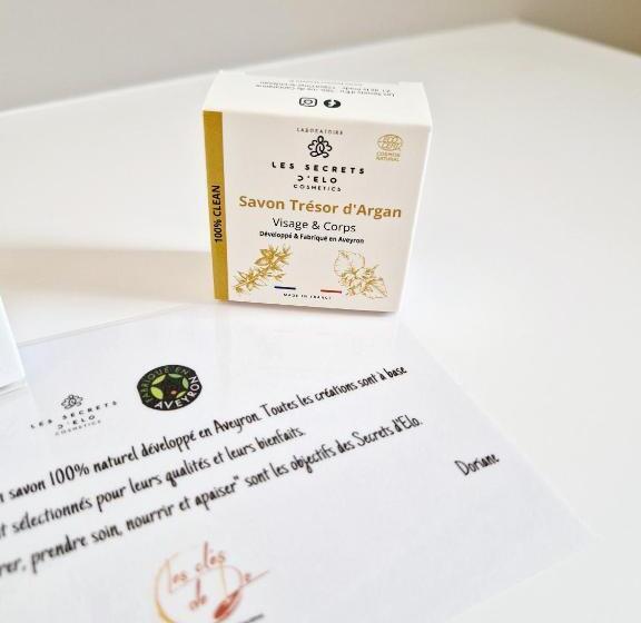 Le Gîte City Haut De Gamme, Jardin, Piscine