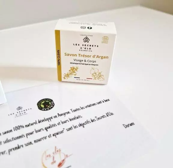 Le Gîte City Haut De Gamme, Jardin, Piscine