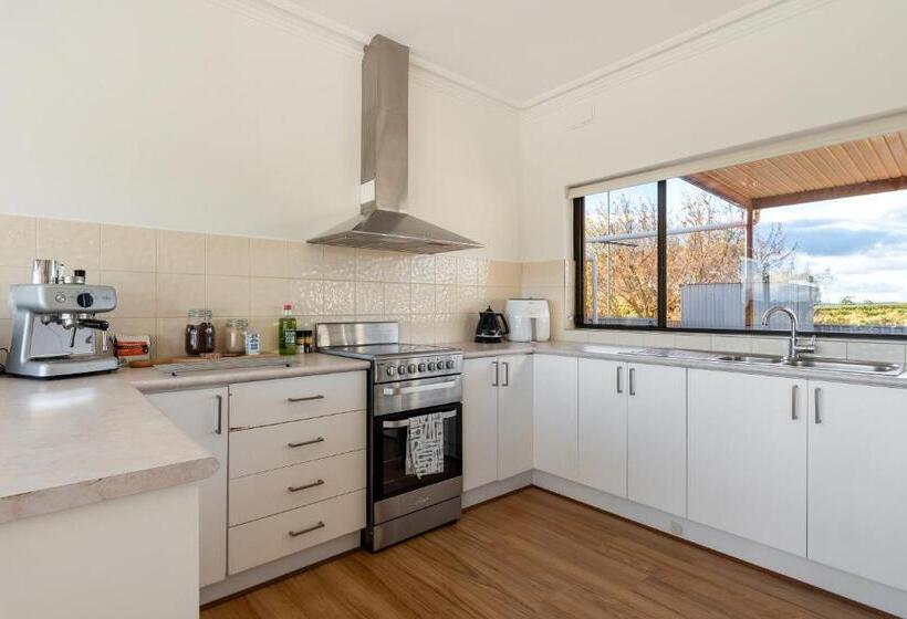 Mcgill Vineyard Barossa