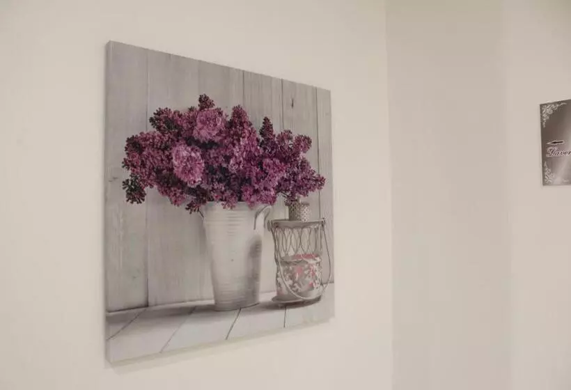 Medusa Residence B&b