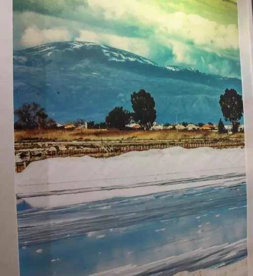 Medusa Residence B&b