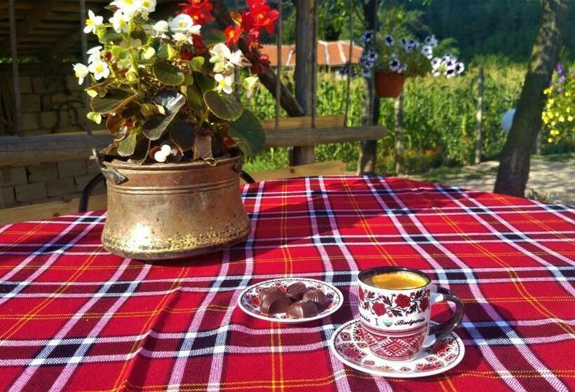 Пансион стаи за гости къща тончеви