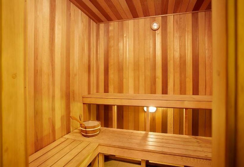 Ruby Gold Coast By Serain