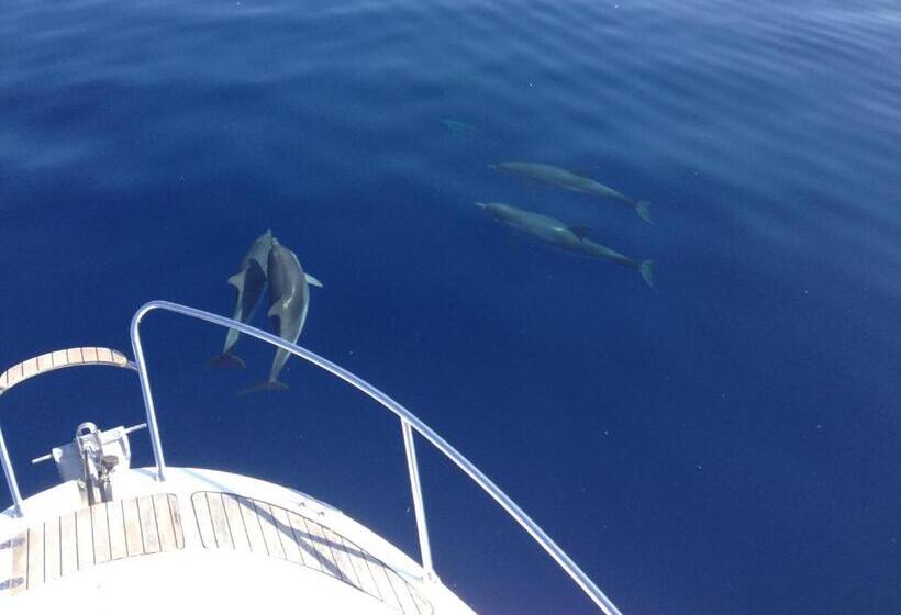 B&b Duomo Apartament