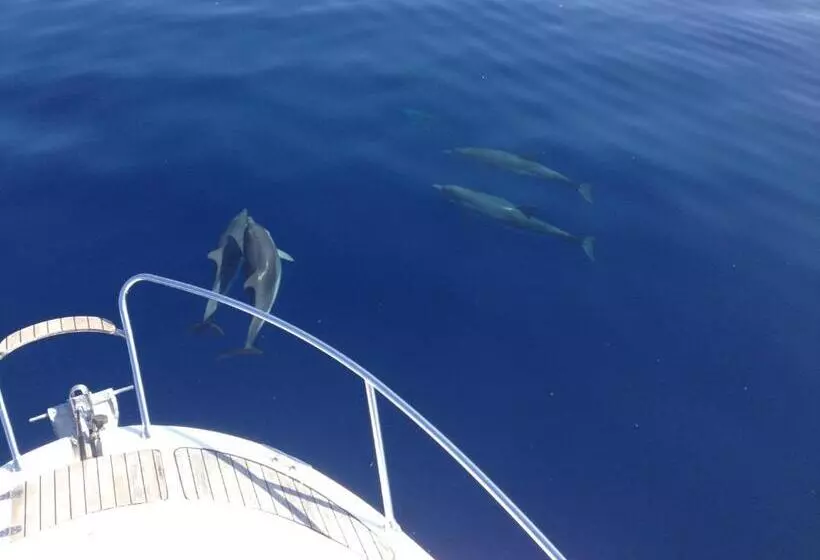 B&b Duomo Apartament