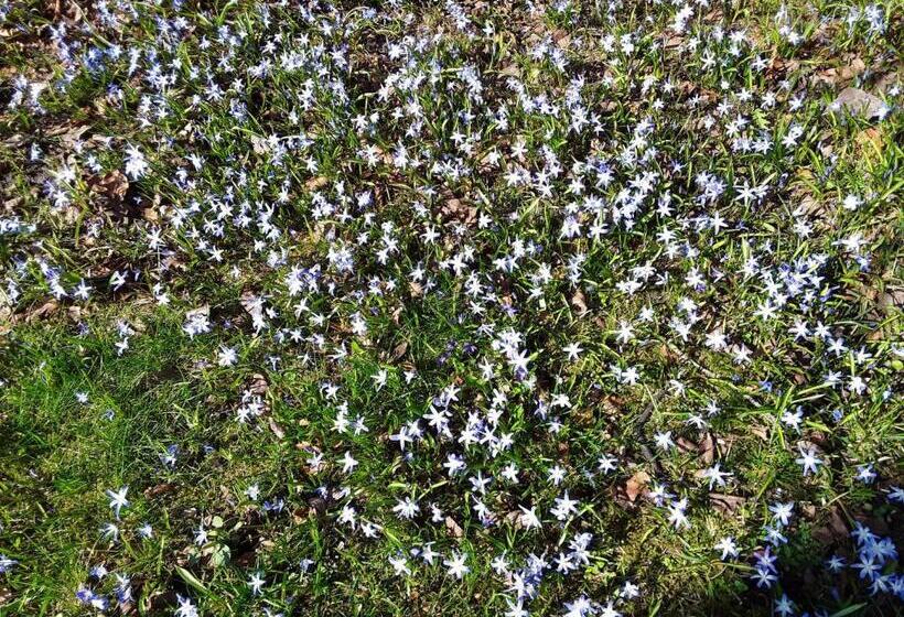 Ferienwohnung Im Palais Rosenlund