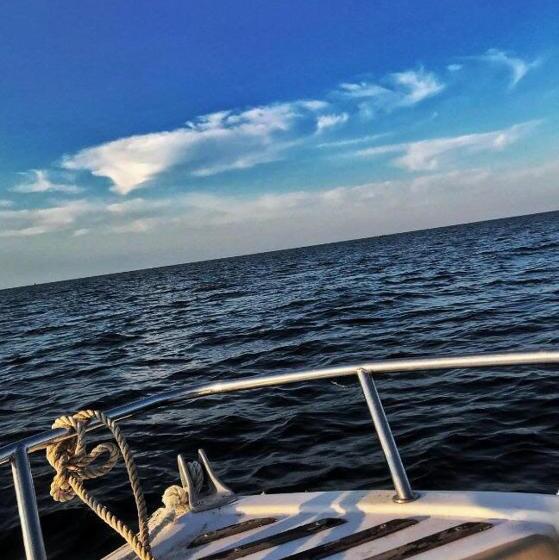 پانسیون Casa Carter