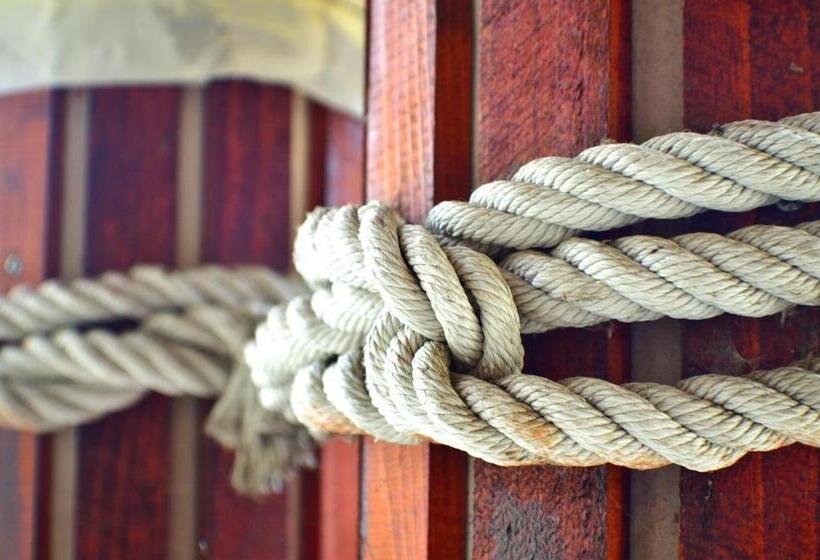 پانسیون Casa Carter