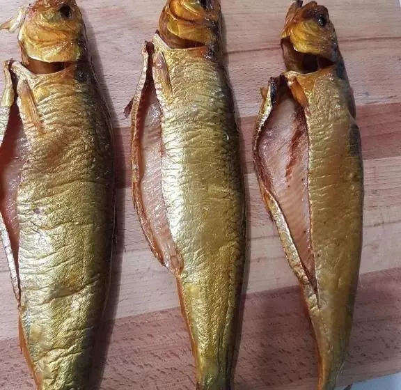 Majatalo Casa Carter