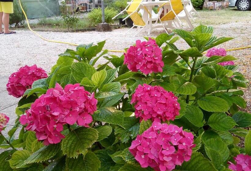 پانسیون La Villa