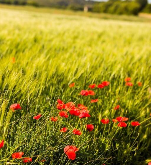 Пансион Le Domaine Des Oréades