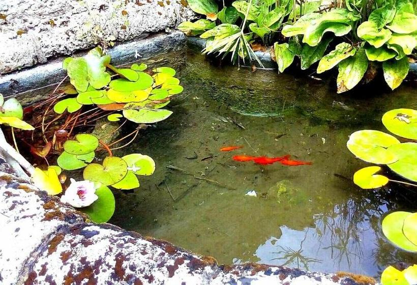 Pensjonat Palazzo Caracciolo