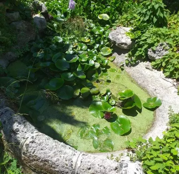 ペンション Palazzo Caracciolo