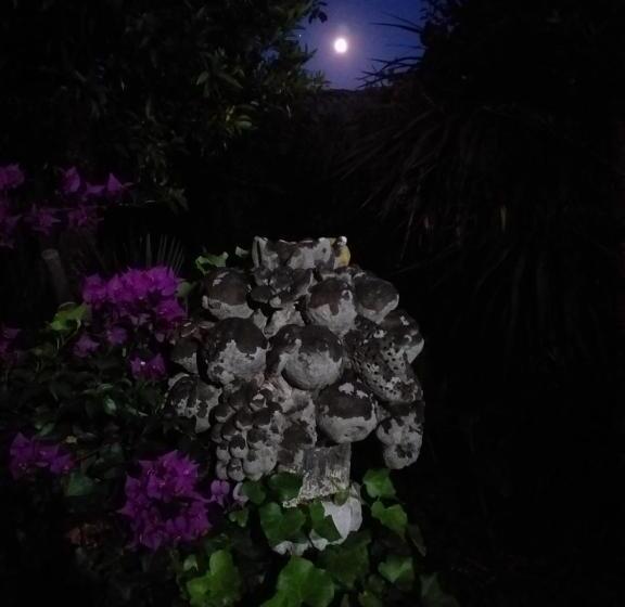 Pensjonat Palazzo Caracciolo