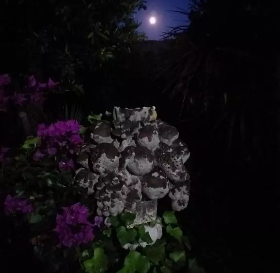 ペンション Palazzo Caracciolo