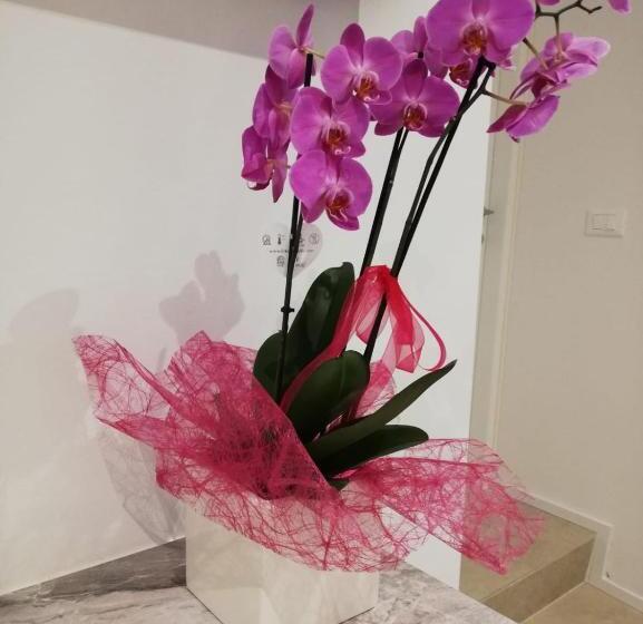 פנסיון River Inn Arco