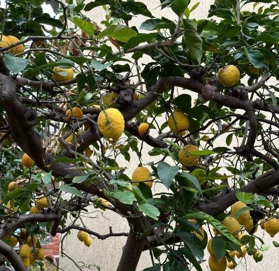 بنسيون Casa Patrizia