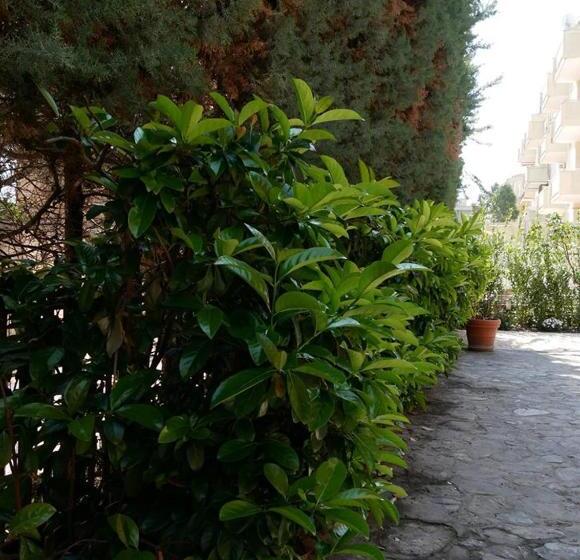 Villa Borghese B&b