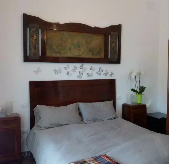 Wunderkammer B&b