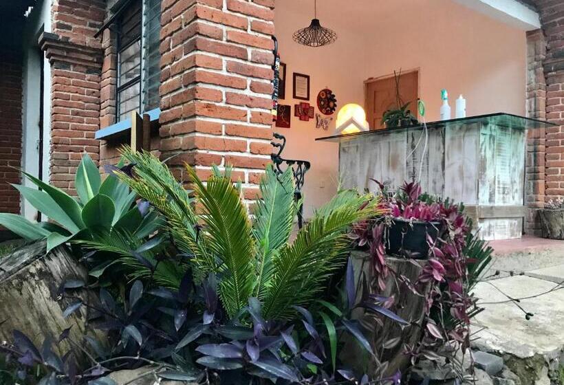 ユースホステル Posada Teopanco