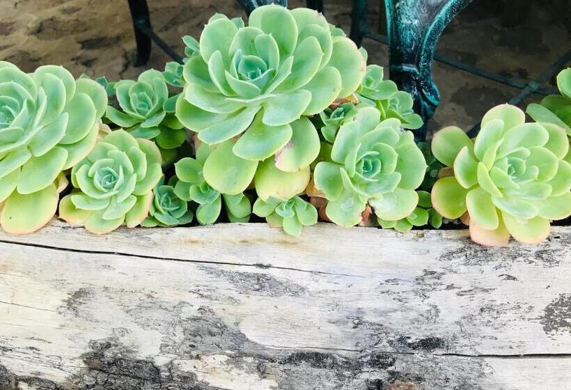 ユースホステル Posada Teopanco