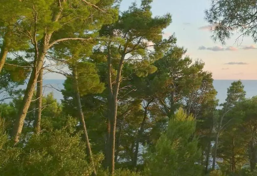 House In The Pines