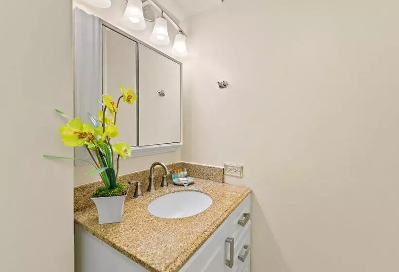 Pacific Monarch   1 Br   Ocean And City Views!