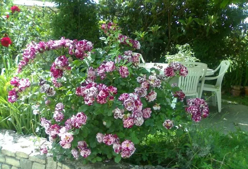 Rendez Vous Au Soleil De Provence   Gite 4 Personnes 80m2   Coin Jardin   Climatisation