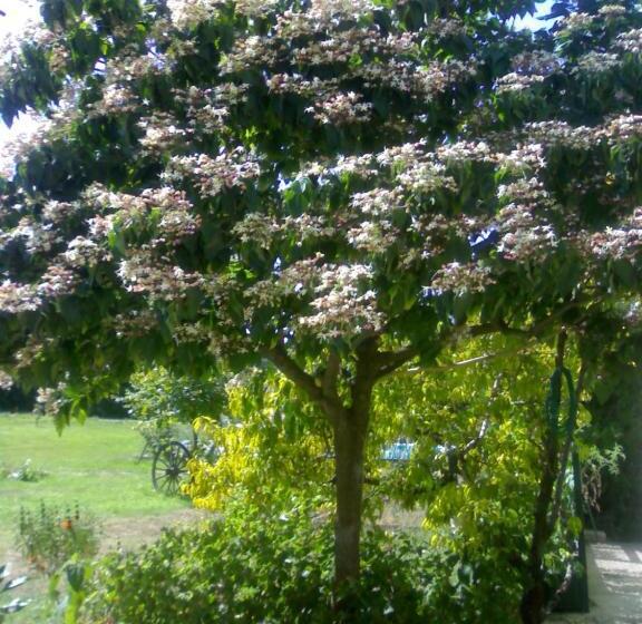 Rendez Vous Au Soleil De Provence   Gite 4 Personnes 80m2   Coin Jardin   Climatisation