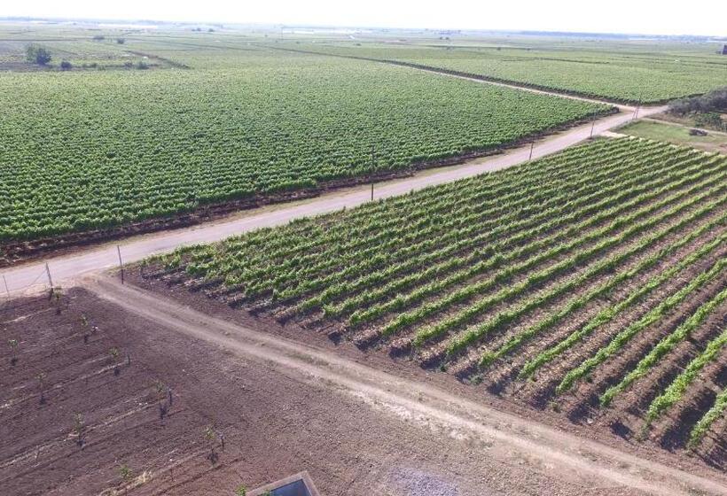 فندق Terra Di Negroamaro