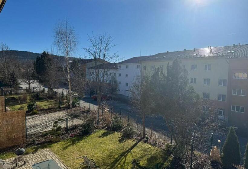 فندق Wellness & Spa Apartments Lipno Frymburk