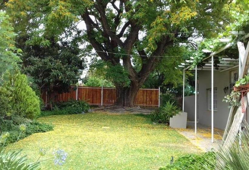 펜션 The Big Tree Guest House