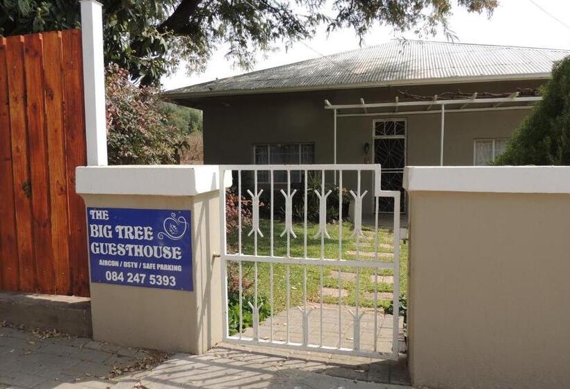 펜션 The Big Tree Guest House