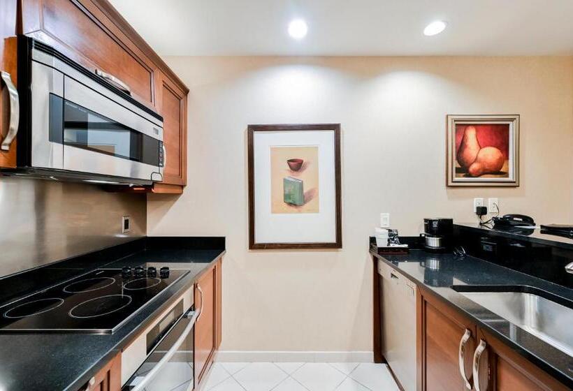 Stripviewsuites At Signature