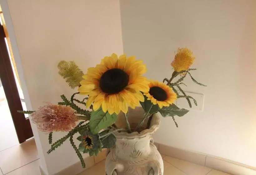 B&b Le Margherite