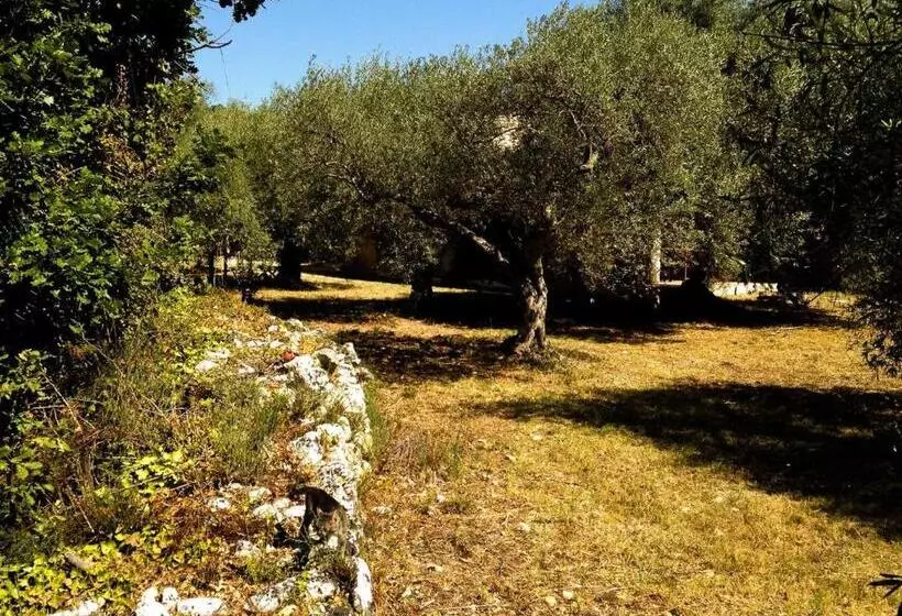 Casa Giuliva