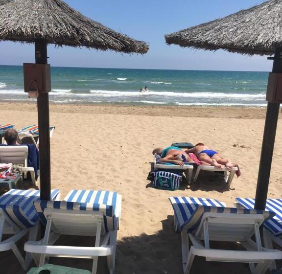 Casa Phoenix Bed & Breakfast