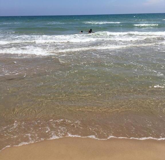 Casa Phoenix Bed & Breakfast