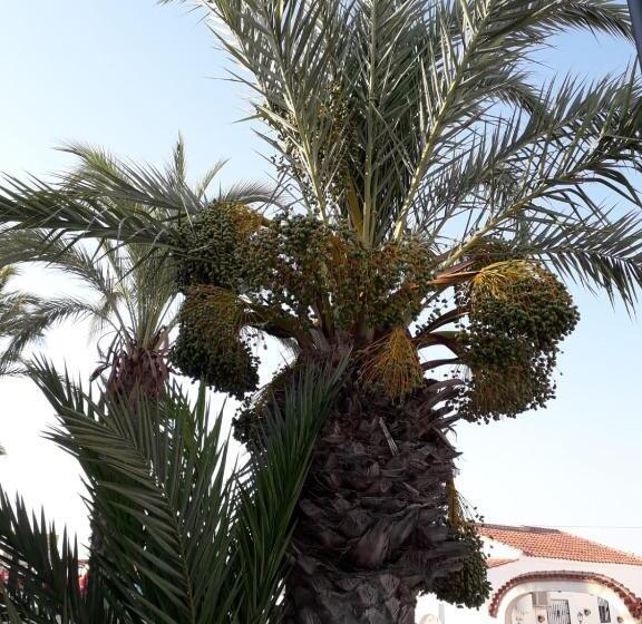 Casa Phoenix Bed & Breakfast