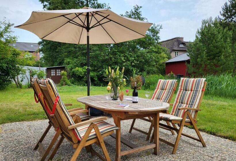 Ferienhaus Dhh Unsere Reetdachbude