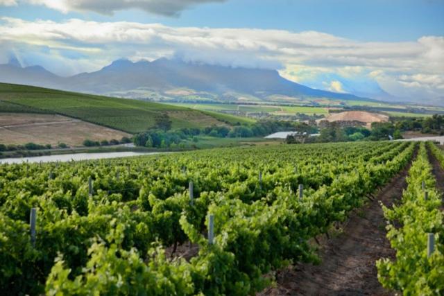 酒店 Gemoedsrus Farm