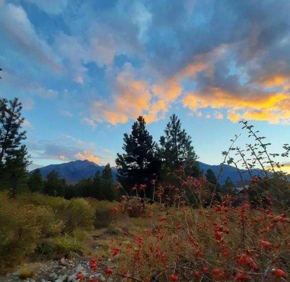 La Amarilla Epuyén Studio