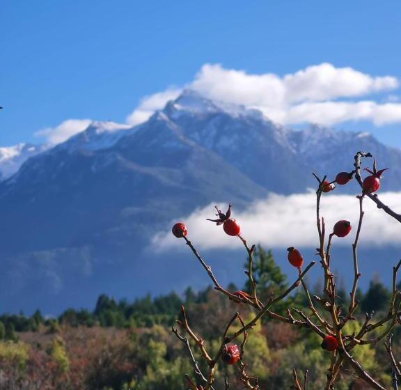 La Amarilla Epuyén Studio
