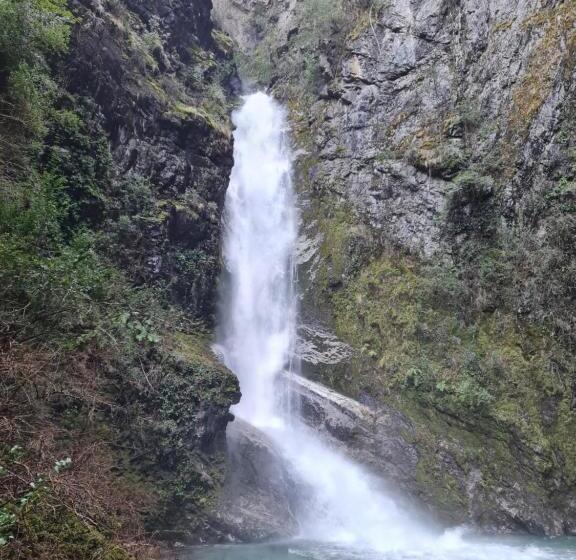 La Amarilla Epuyén Studio