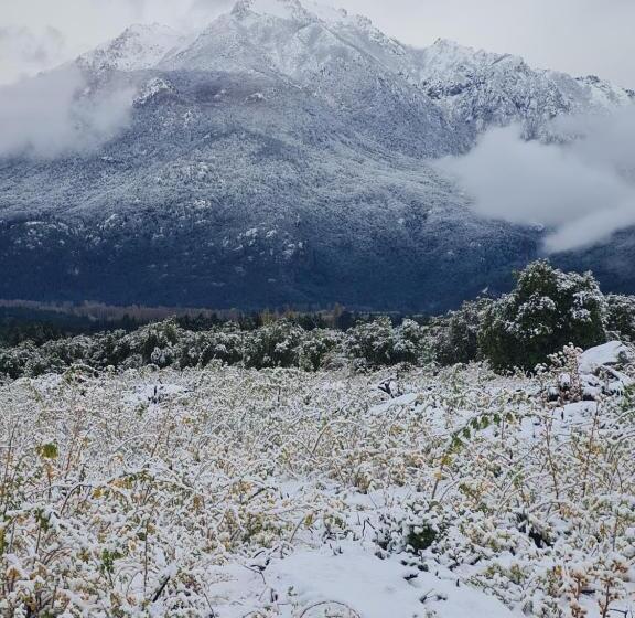 La Amarilla Epuyén Studio