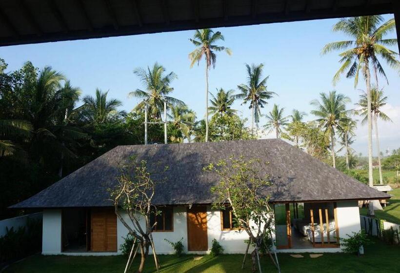 Пансион Balian Prana