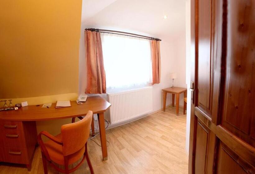 بنسيون Penzion Tillerova Vila